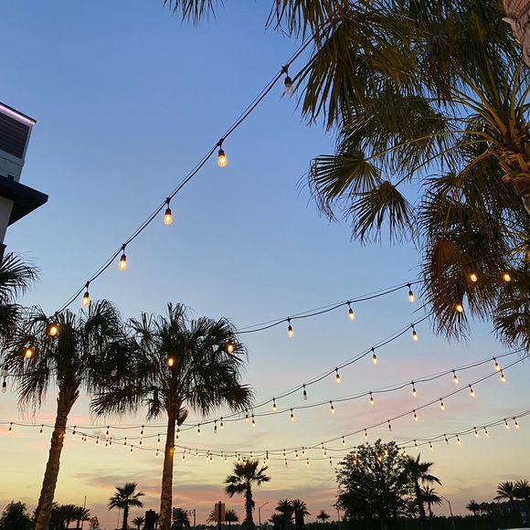 $$$ - Picture 2 of 3